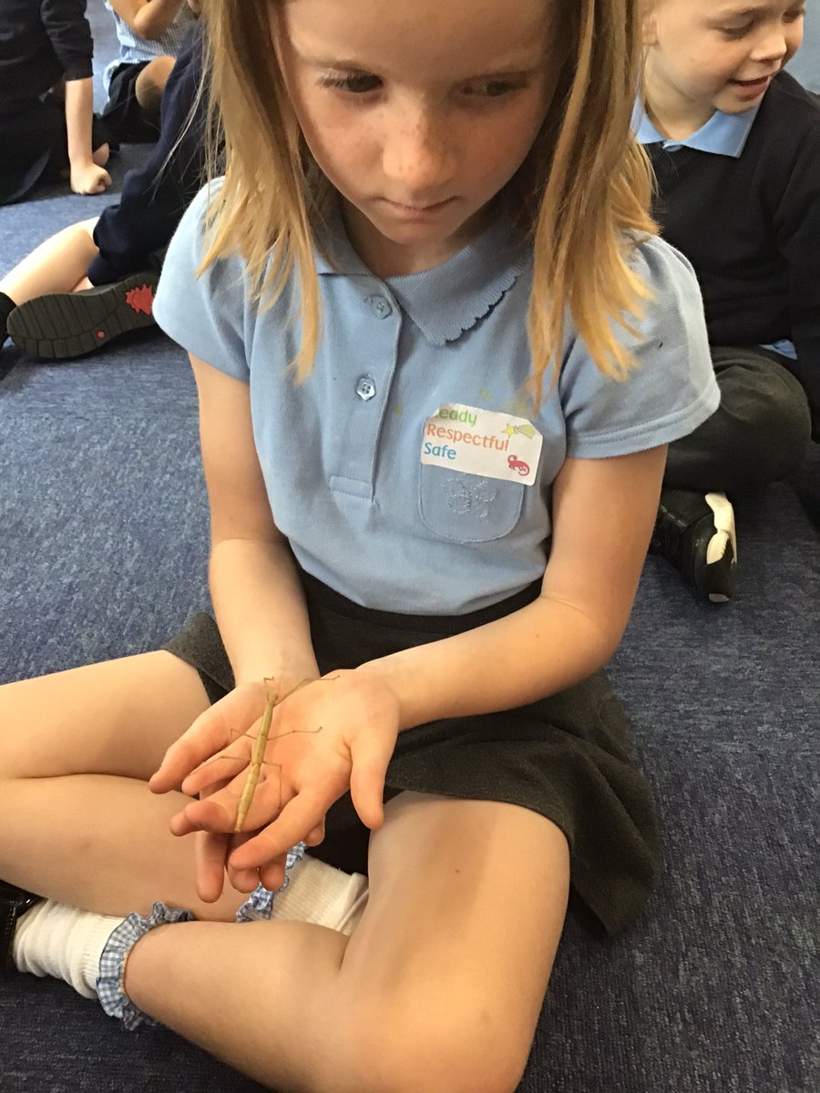 CricketsStf's tweet photo. Jessica and her mummy brought in some stick insects for us to look at…they moved quite quickly 🙂 Thank you for sharing them with us https://t.co/BuZVmnADmX