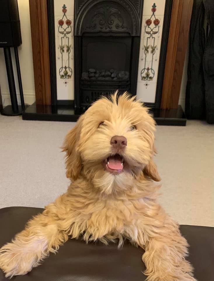 There's always one that wants to go out on a Friday night when everyone else has put their pyjamas on 🤣