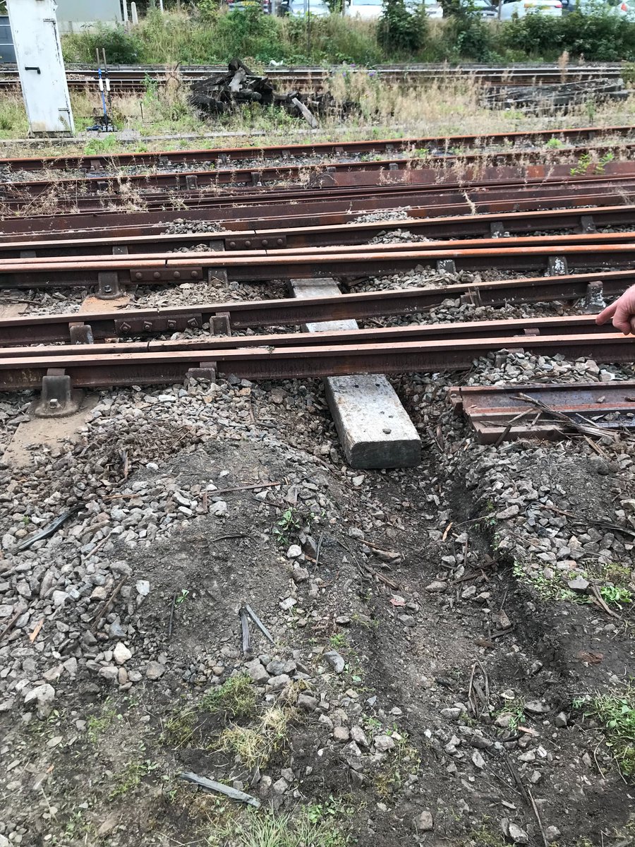 BodminGeneral's tweet photo. Last Thursday saw our Track Gang replacing crossing timbers down at Bodmin Parkway, and thankfully all in the dry!
📸 Chris Hatton & Mat Simpson
#bodminandwenfordrailway #maintenancemonday #trackgang #joinus #volunteering #sunny #goodweather #track #pway https://t.co/biOZnNpKam