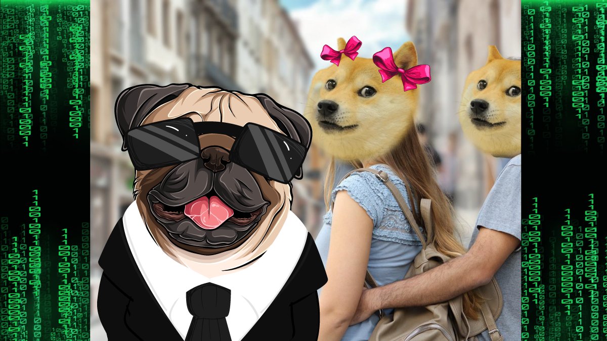 Dogematrixcoin's tweet photo. #dogematrixcoin https://t.co/edzcxaq5PA
