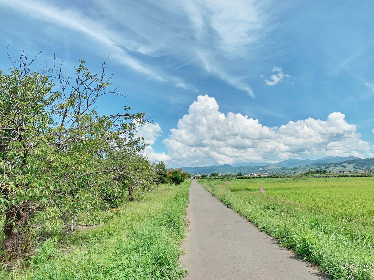たまたま通りかかった田舎道で、偶然出会った風景なのに、なぜか「懐かしいなぁ」って思うことありませんか？

そういう瞬間が大好きです