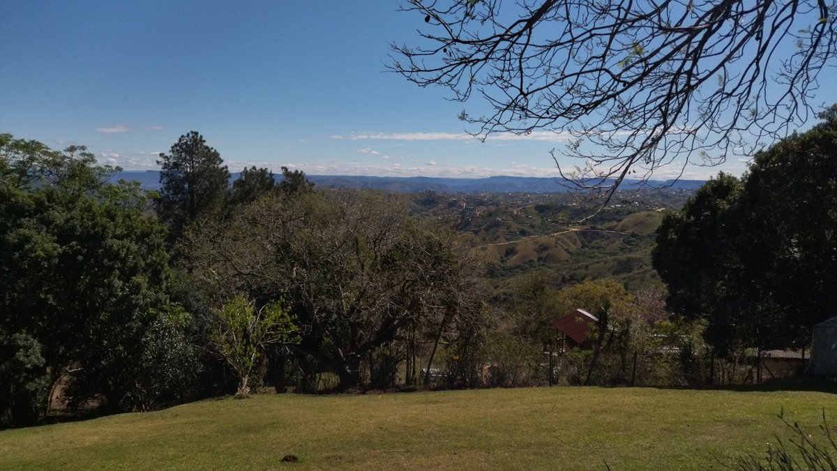 Lucy Corne tweet media