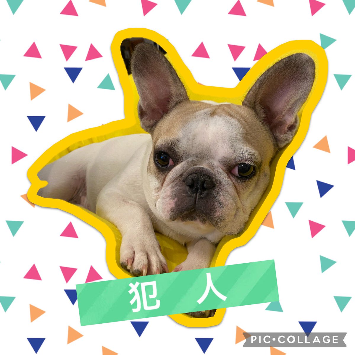 Jiro 日向の母ちゃん Jiro Hinata Mom Twitter