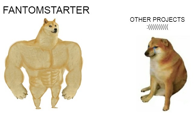 chudaosonlinh's tweet image. #fantomstarter #fantomstarterwhitelist #fantomstarterIDO