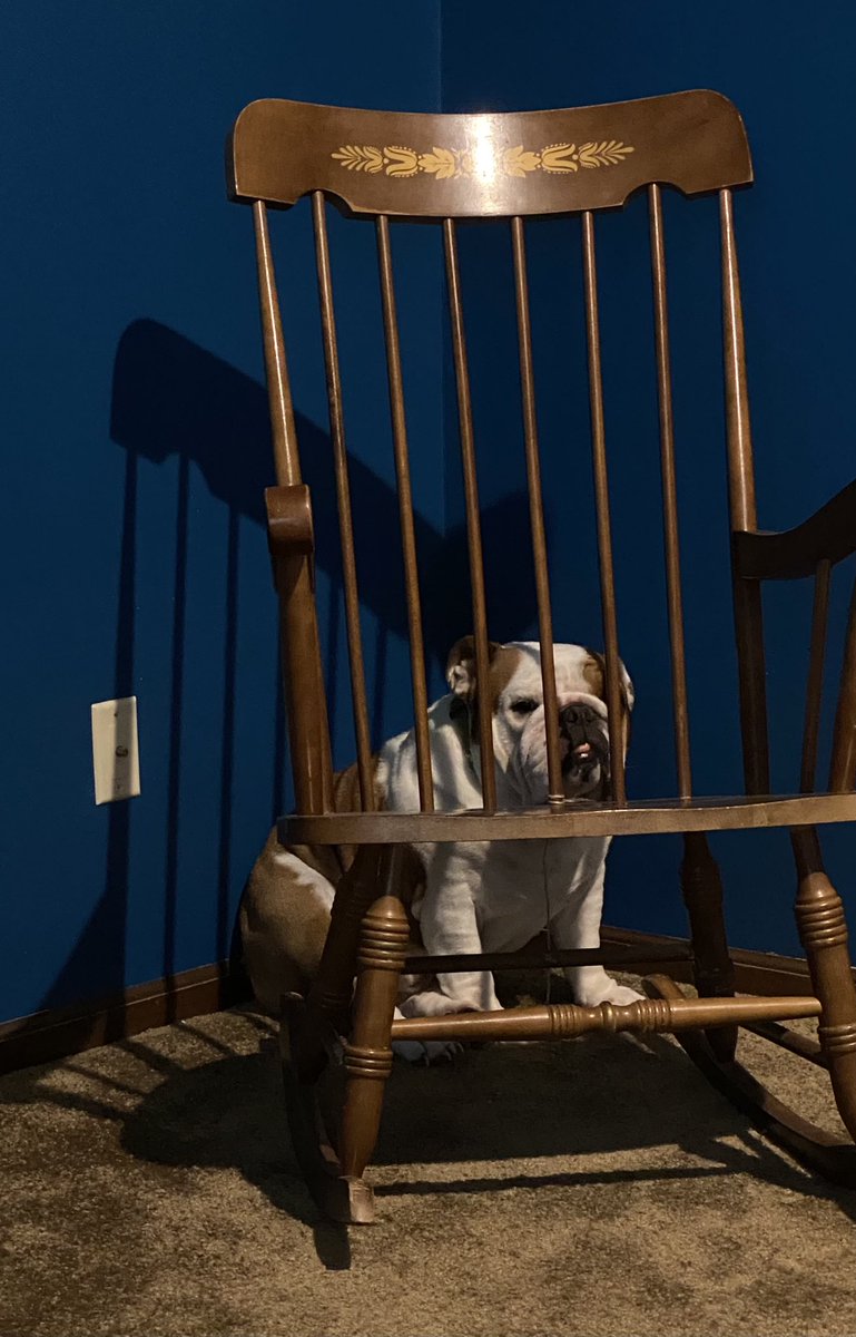 Someone’s feeling dramatic this morning