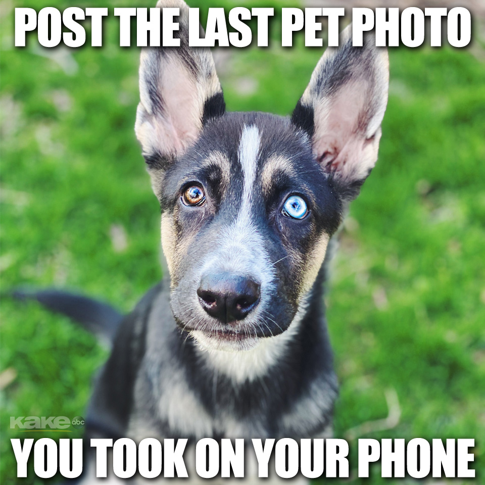 KAKE News tweet media