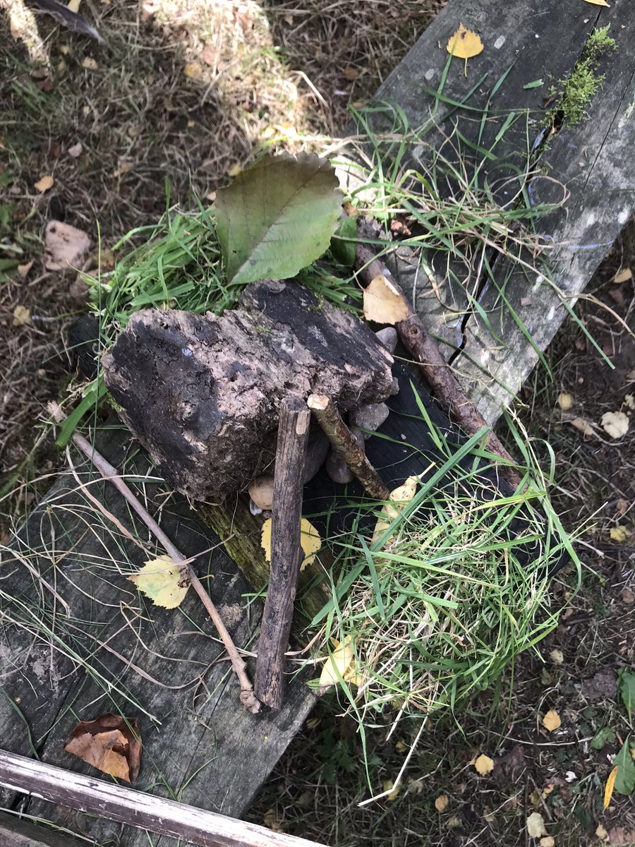 foxeswps1's tweet photo. More Goldsworthy inspired art https://t.co/StalXYGDvR