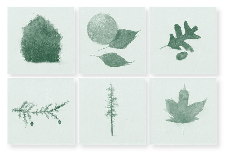 Robin Wall Kimmerer, <a href="/RobGMacfarlane/">Robert Macfarlane</a>, and <a href="/DGHaskell/">David Haskell</a> discuss the idea of the personhood of trees, root communities, and the ways in which humans might foster the growth of our canopy this Saturday, Sept 18th with <a href="/Orion_Magazine/">Orion Magazine</a>. Art by Patrik Svensson. yff.yale.edu/event/celebrat…