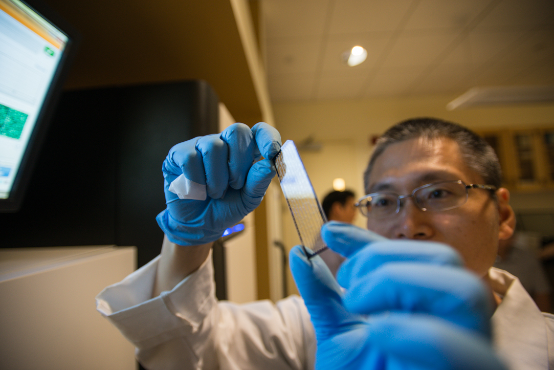 WCMEnglanderIPM's tweet photo. Join us, we're hiring!

We seek a dynamic individual who will be responsible for designing and executing in situ validation assays (FISH, RNAish) in the context of Precision Oncology studies focused on defining novel molecular alterations in cancer.

https://t.co/IYh5Uk3pTb https://t.co/KzEMJMxS07