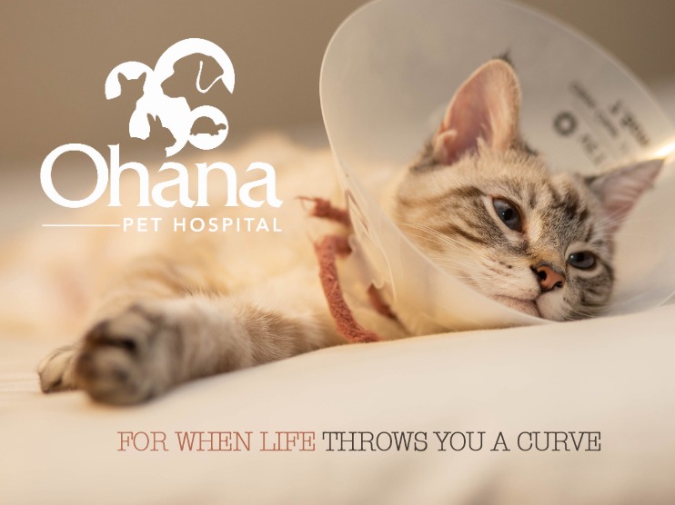 Ohana Pet Hospital OhanaPetHosp X