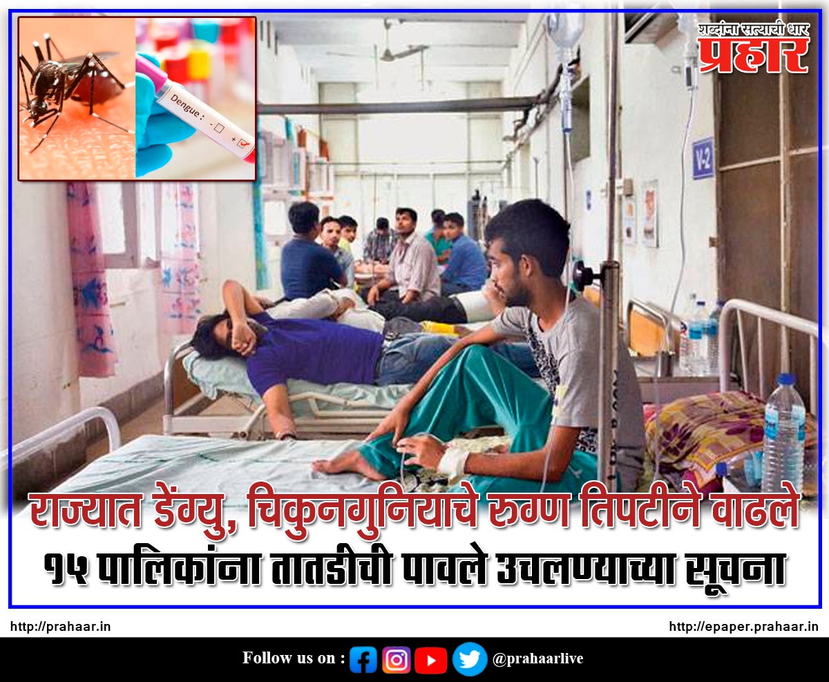 PrahaarNewsline's tweet image. #Dengue #Chikungunya #feaver #patients
