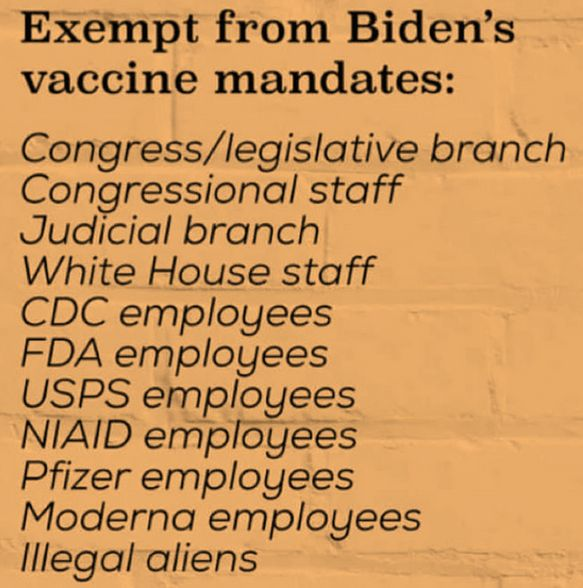 deplorablebob7's tweet photo. who doesn't need a vaccine = goverment https://t.co/Lhx1DK5VMB