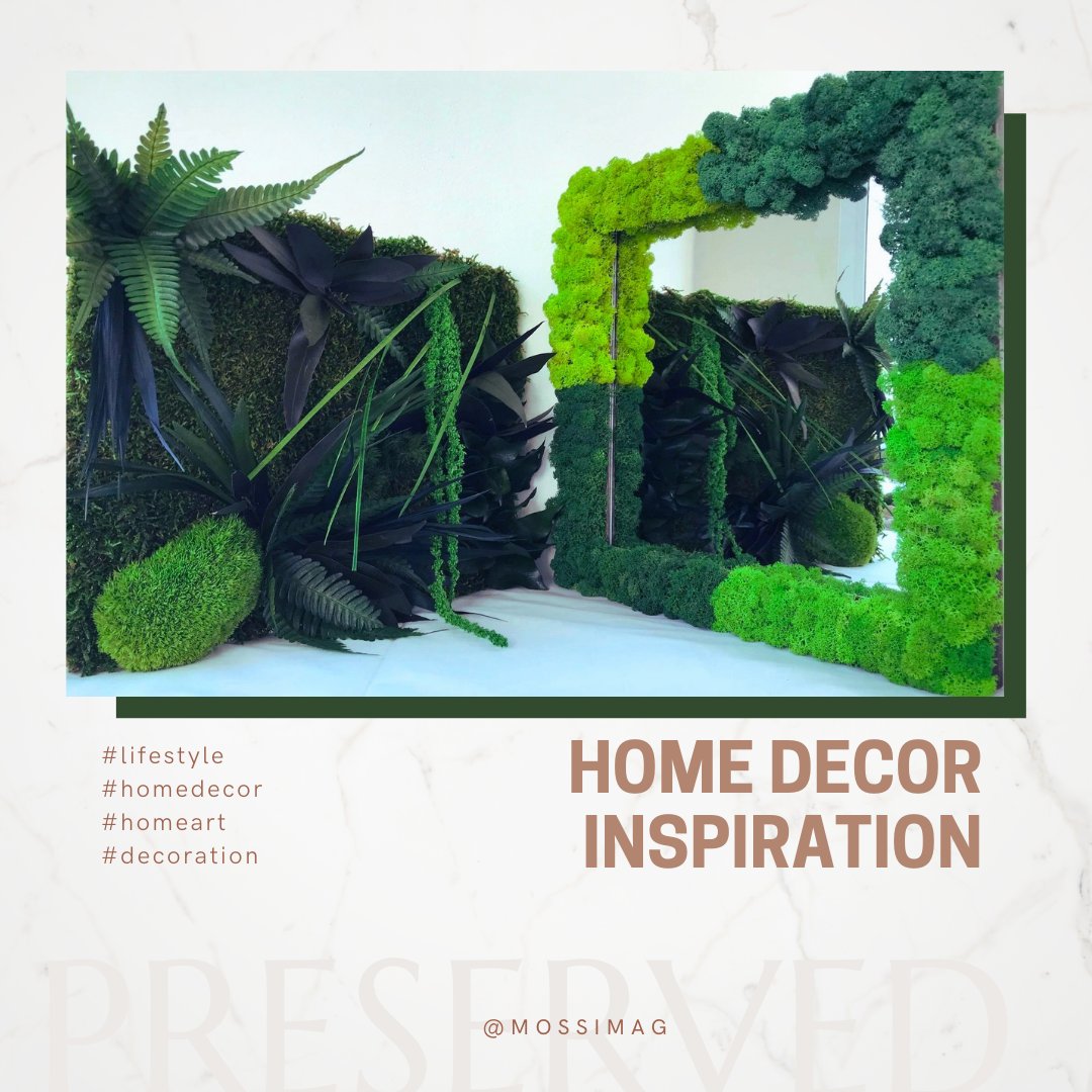 Mossimag tweet media