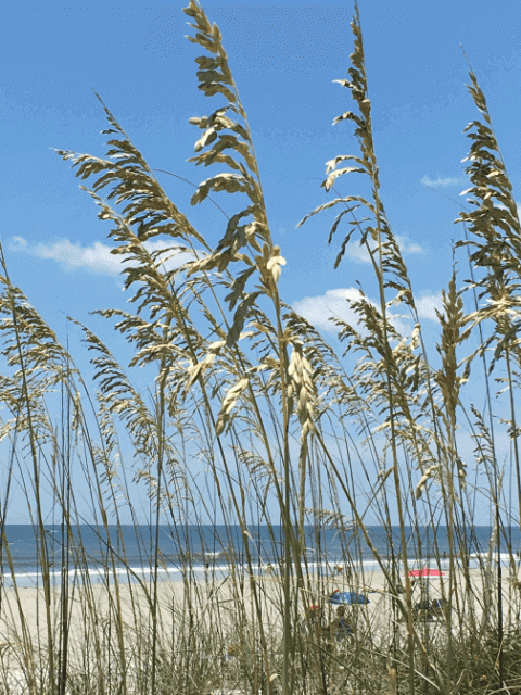 ExploreA1A's tweet photo. 10 Top Hidden-Gem Beaches to Spend Summer’s Final Days - https://t.co/2d6rCo8oNP https://t.co/TtfdJ32OWk
