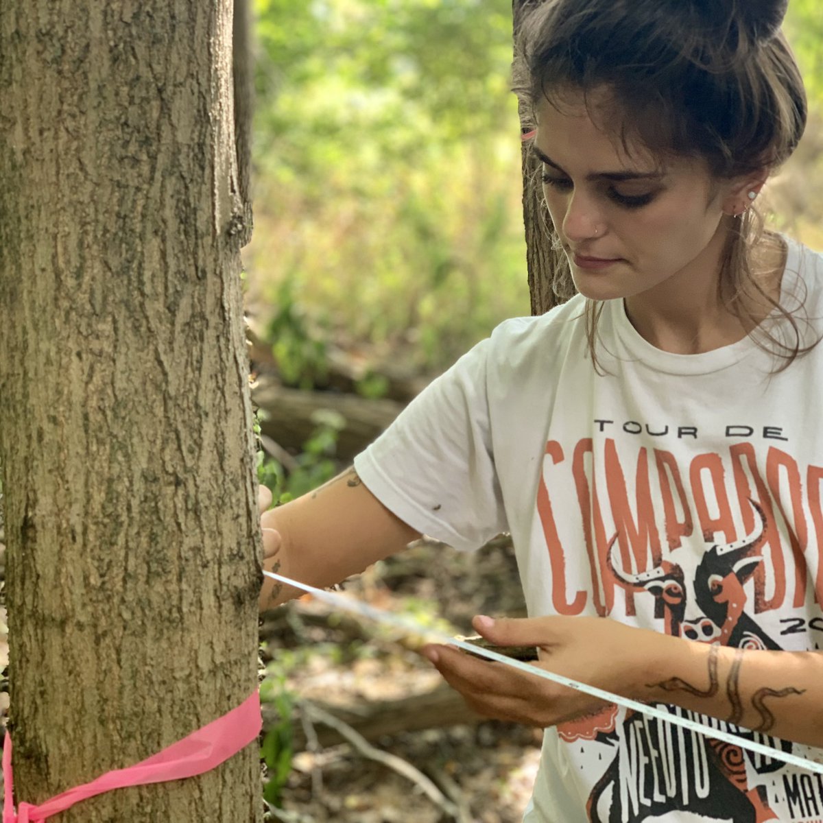 AMUscience's tweet photo. A beautiful day for some #forestry! My #ecology students are measuring #tree #succession &amp; species #competition in our beautiful #woods at Saint Mary-of-the Woods College! @smwc 🌳🌲🪵 #environmentalscience #naturalresources #conservation #landmanagement #AMUscience #SMWCscience https://t.co/1S2aGutcIr