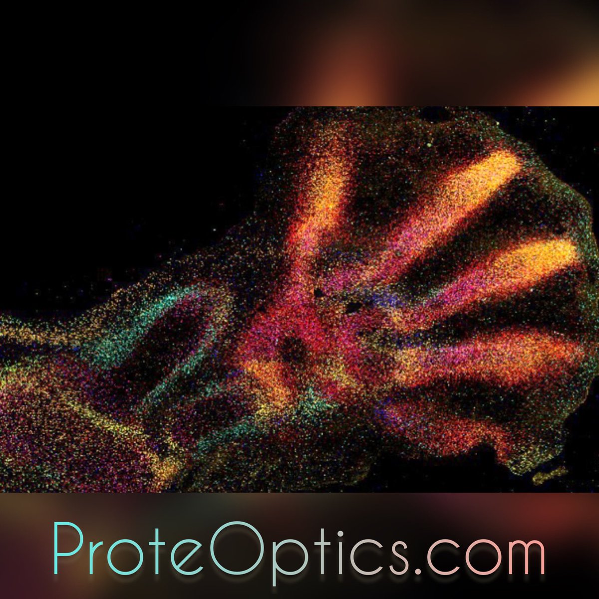 ProteOptics 🧬🔬

#domains #domainname #spatialproteomics #interactomics #spatialbiology #spatialtranscriptomics #precisionmedicine #multiomics #spatialomics #metabolomics #proteomics #singlecell #spatialphenotyping #proteoptics