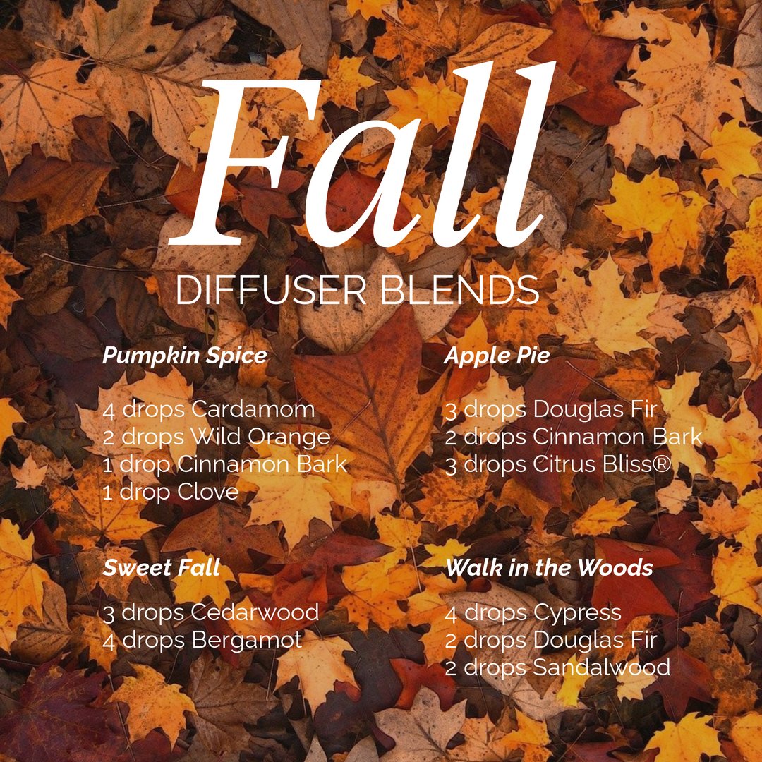 LovingHandsPHX's tweet photo. Looking for fun fall diffuser blends to make your home cozy and warm? We have just what you need! Which one is your favorite?
It's A Walk in the Woods for me... https://t.co/jbxe0HMQWN