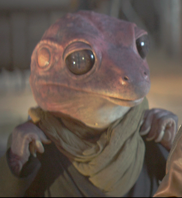 SWFights's tweet photo. Frog Lady vs Mon Mothma. https://t.co/o3fUwN2z5d