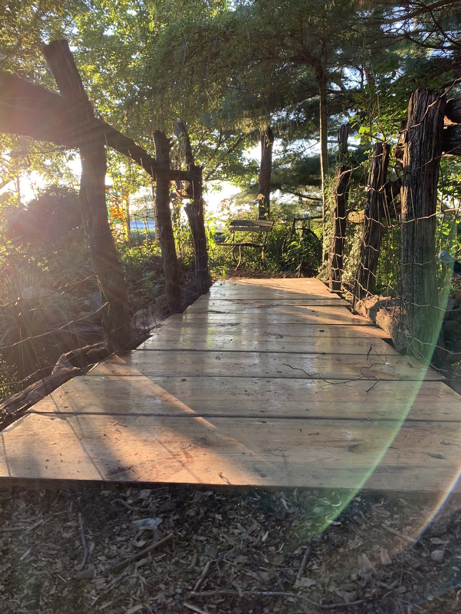 ThePatch200's tweet photo. We open in 5 days and things are really shaping up! https://t.co/5uU98XeThi