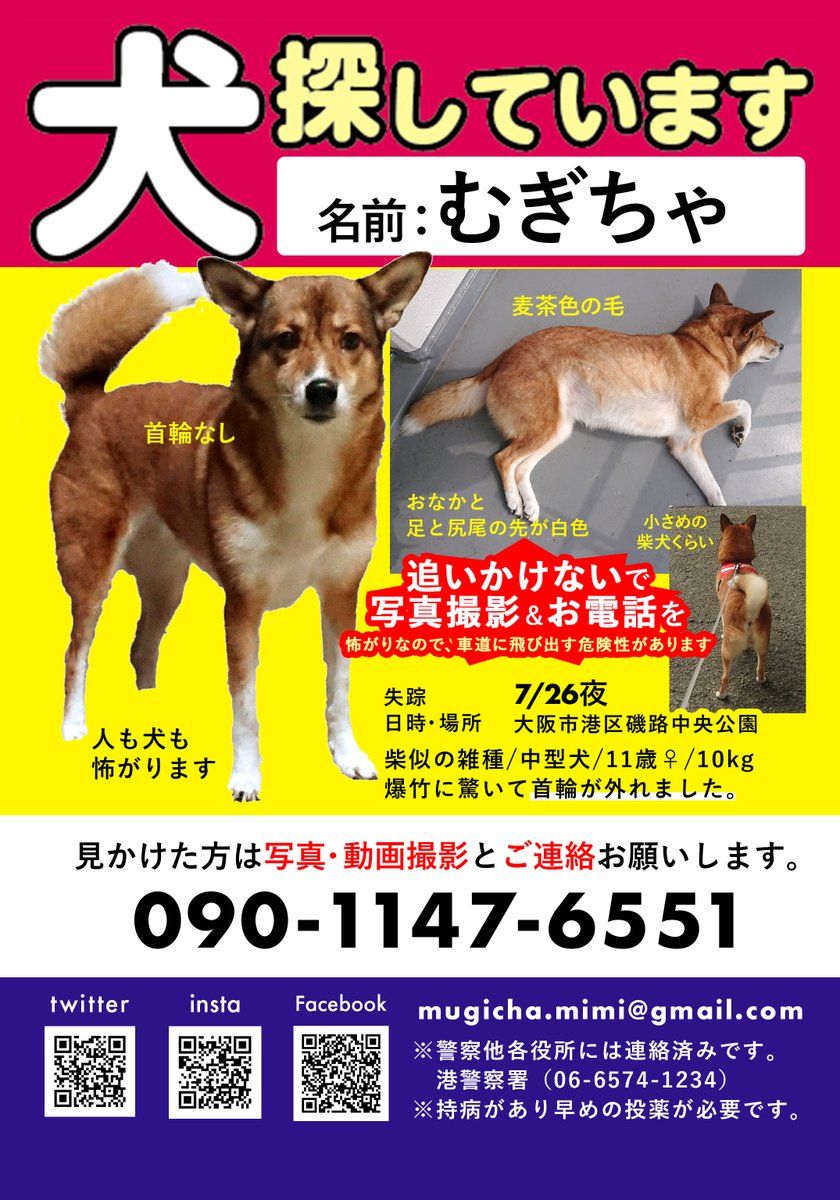 COIzsQLjqA9Dg5l's tweet photo. 台風が来ているので雨・風・雷がとても心配です。どうかむぎちゃが安全な場所を見つけて休めていますように。
むぎちゃの元気な姿を一目見たいと、毎日願っています。
見かけた方は情報お待ちしております。
#迷い犬 #迷子犬 #野良犬 #拡散希望
#大阪市 #大阪府 #吹田市 #尼崎市 #守口市 #東大阪市 https://t.co/mrdAqaSGfJ