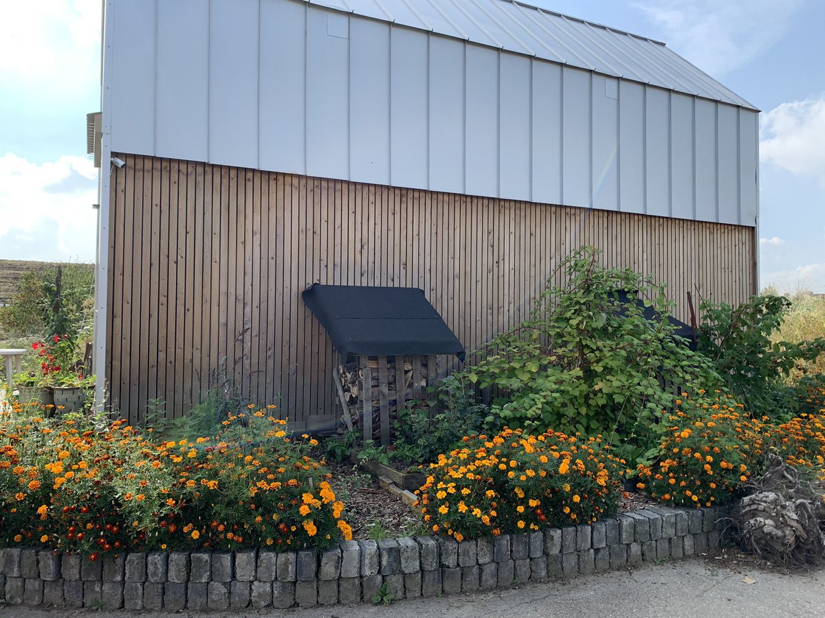 Zeer inspirerende afsluiting van bouw innovatie tweedaags werkbezoek. Gemeente Den Bosch <a href="/RoyGeers/">Roy Geers</a> en woningcorporatie <a href="/ZayazDenBosch/">Zayaz</a> Mohamed Acharki en bewoners Minitopia laten zien hoe flexwoningen bijdragen aan oplossen wooncrisis.