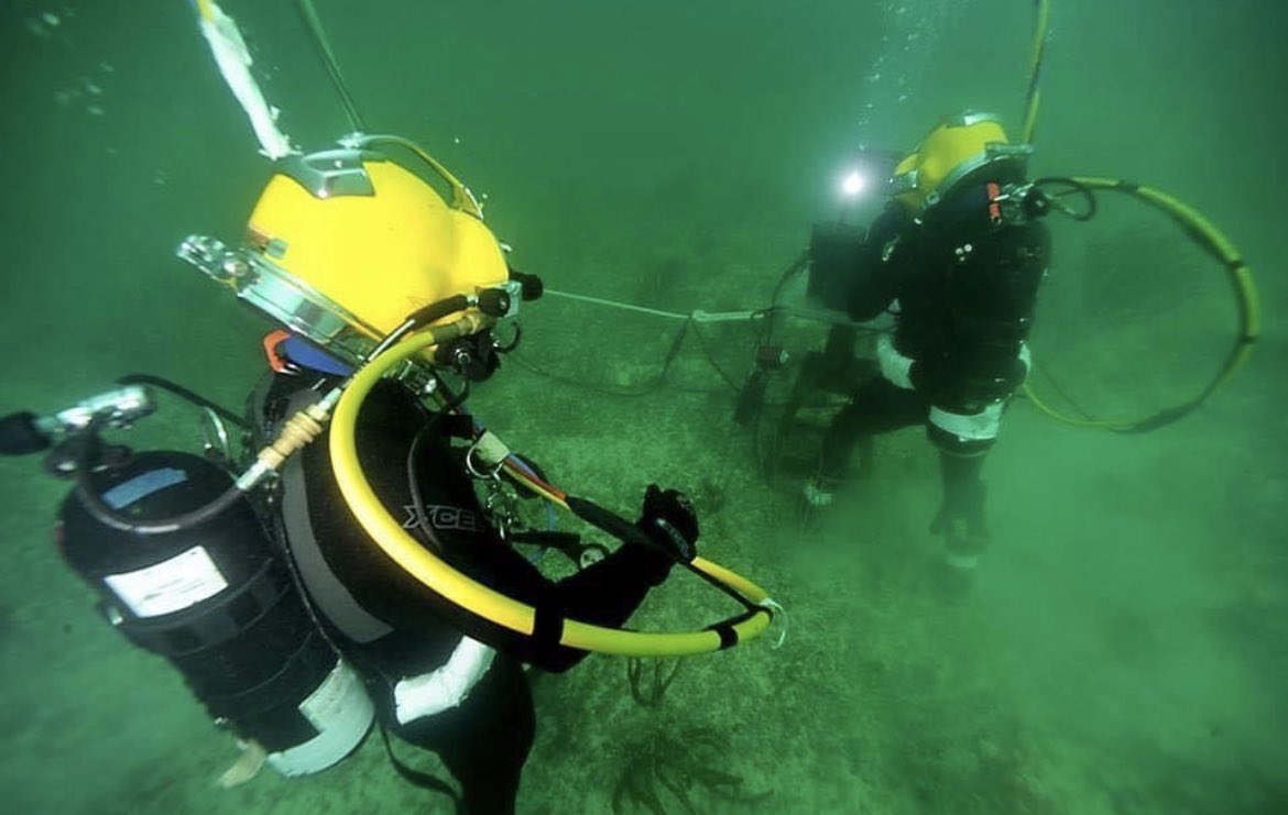 Ziggy_Diver1's tweet photo. I’m a commercial Diver by profession. I do under water construction. Farming and entrepreneurship are my side hustles. 

I own a camping travel company @BushbossC and a group of companies for bids with the the private and public sector. 💡☺️ https://t.co/q3vm0JQc54