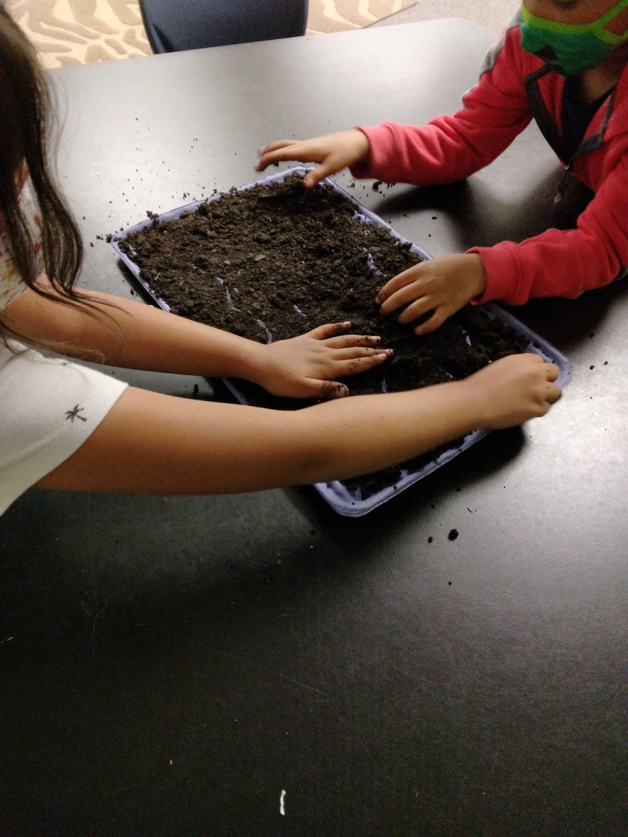 Kindergarten is exploring the basic needs of plants. We are starting kale seeds today. These will be harvested in 60 days. <a href="/BaggettTitans/">Baggett Titans</a>
