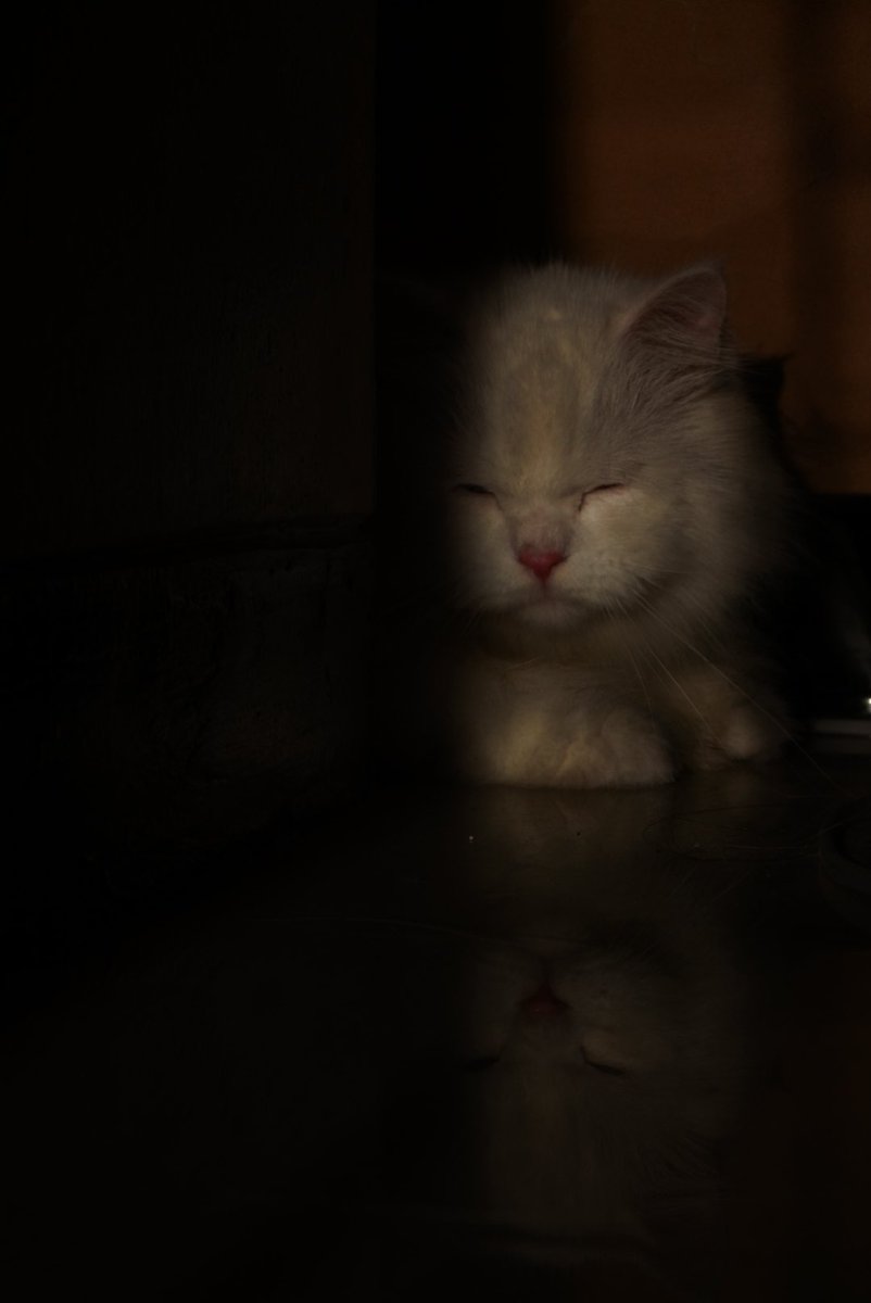 cimut dan pagi