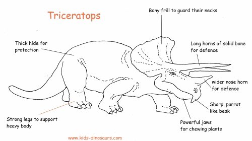 Look at the wonderful, patterned “triceratops frill” B created in P1a today! He taught me that the spiky bit is called a frill. 🤩 I am very impressed! <a href="/MrsLMitchell22/">Lynsay Mitchell</a> <a href="/NewtongrangePS/">NewtongrangePS</a>