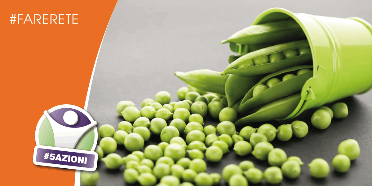 5azioni's tweet photo. I piselli sono fonte di fibre vitamine C e K ferro, magnesio e fosforo. Hanno più proteine di altre verdure. Si stanno studiando i benefici anche per il diabete 2. Per un purè frullare 500 gr di piselli bolliti e saltati con cipolla e aglio, 500 ml di brodo
viverepiusani
#5azioni https://t.co/HwzxSK4kjo