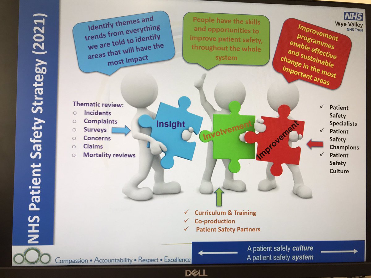 NickyGoodwin's tweet image. Introducing the NHS Patient Safety Strategy on World Patient Safety Day -17th September.