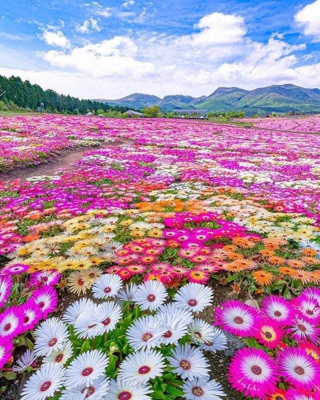 IMoguilevich's tweet image. Pequeña, escucha, aún no...

| rol solitario|la