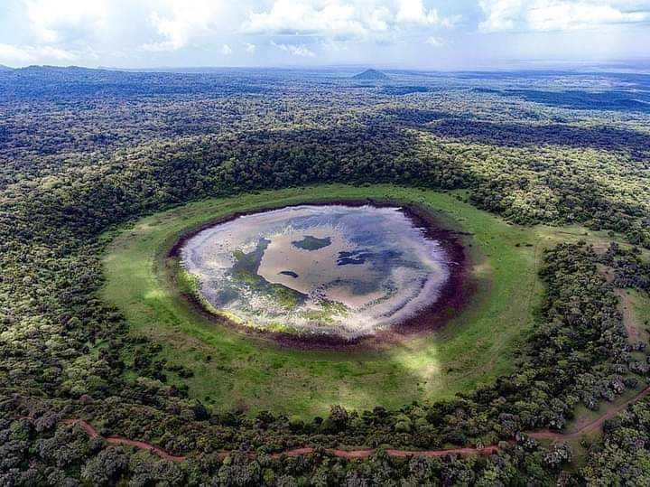 WasafiriP's tweet photo. Lake Paradise
Marsabit, Kenya 

#MagicalKenya #lakelife #travel #MARK #PakvsNz #goodmorning #Kenya #holidays #scenic #HEX #Ronaldo https://t.co/SZAgQ6jo1i