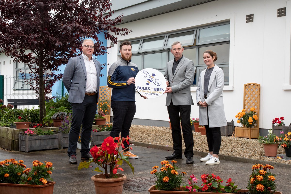 Sligo LEADER Partnership (@sligoleader) on Twitter photo We are delighted to support the #BulbsForBees campaign which is a fantastic initiative by <a href="/GaisceAward/">Gaisce - The President's Award</a> to protect our bee population. We encourage members of the public to purchase pollinator friendly bulbs at their local garden centres. Find out more ➡️ gaisce.ie/bulbsforbees/ We are delighted to support the #BulbsForBees campaign which is a fantastic initiative by <a href="/GaisceAward/">Gaisce - The President's Award</a> to protect our bee population. We encourage members of the public to purchase pollinator friendly bulbs at their local garden centres. Find out more ➡️ gaisce.ie/bulbsforbees/