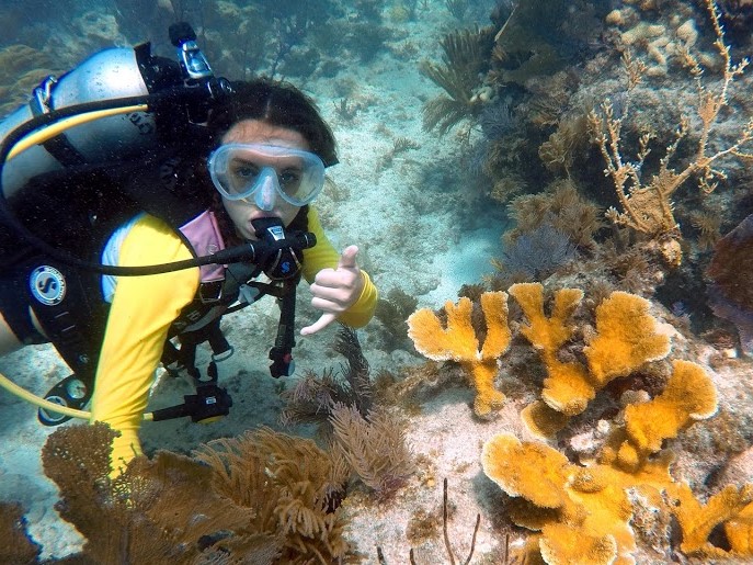 Polaris students took part in the learning experience of a lifetime: helping the Coral Restoration Foundation in their efforts to stem the tide of coral reef decline in the Florida Keys. (@NESTA_US, @noaaocean) #PSDproud Read the full article here ➡️bit.ly/3lD6NzB