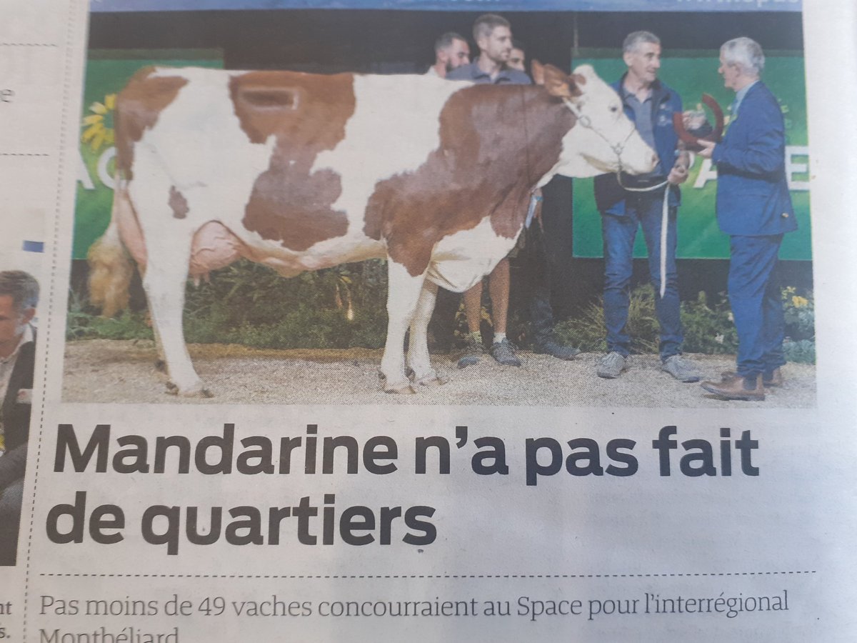 SLouzaouen's tweet photo. On se marre bien chez @PaysanBzh_Hebdo ! 😁 https://t.co/iSxSnmlG1y