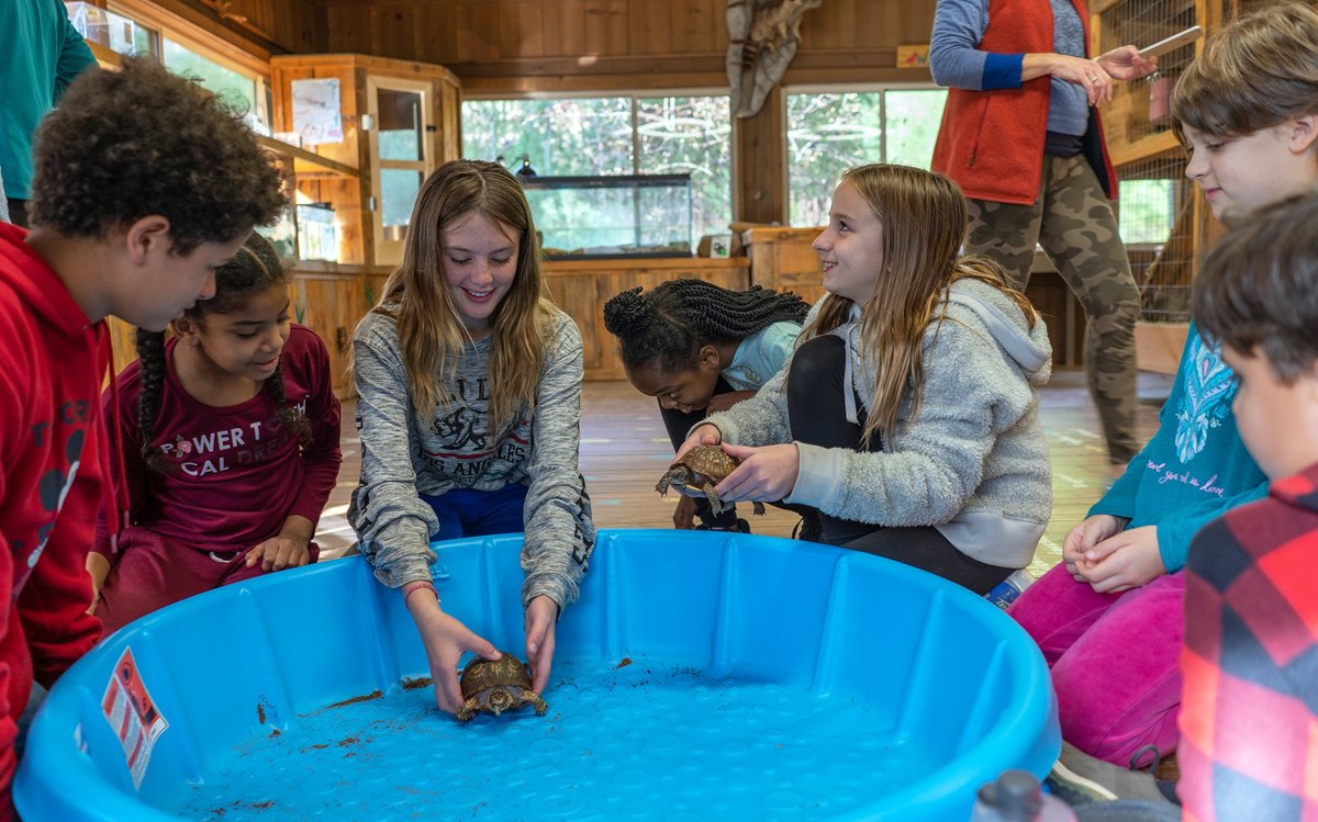 There are some terrific ecology-based daytime field trip opps coming up this fall at Kanuga's Mountain Trail Outdoor School. Check out the offerings! Kanuga.org/Explore #kanuga #mtos #teachoutside