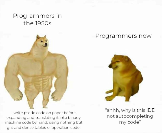 Elitsa Krumova tweet media