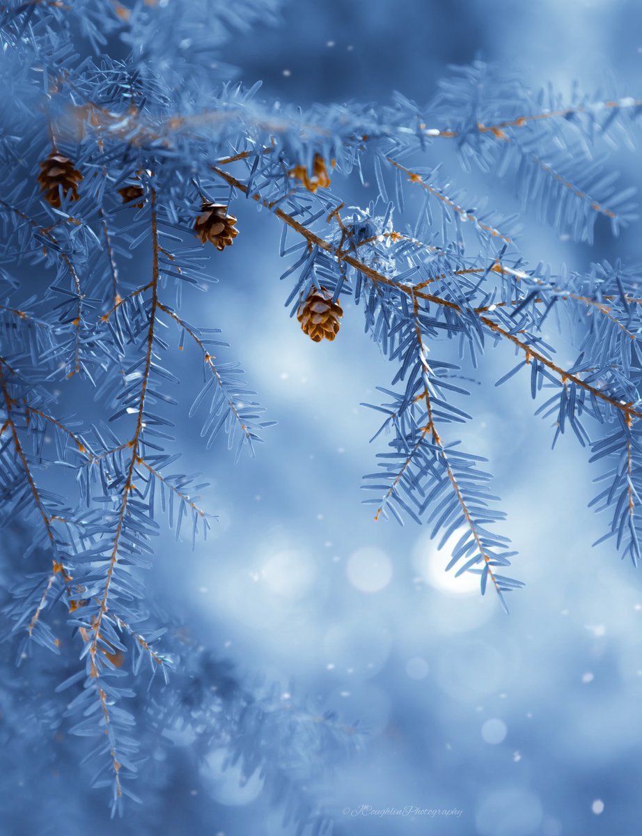 jensoulfocus's tweet photo. @BraydenCreation 🥶🥶🥶 https://t.co/T8v20s59Ij