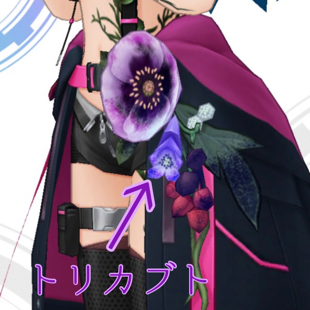 一ノ瀬志希が纏う有毒植物解説