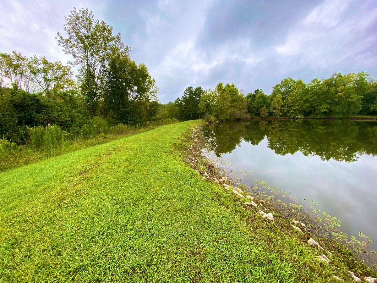 Jill Hartness tweet media