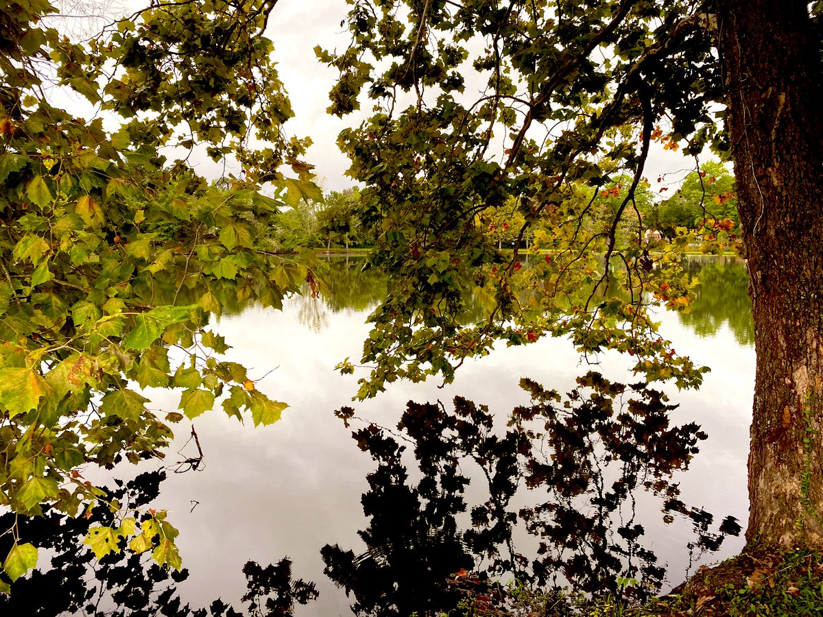 Jill Hartness tweet media