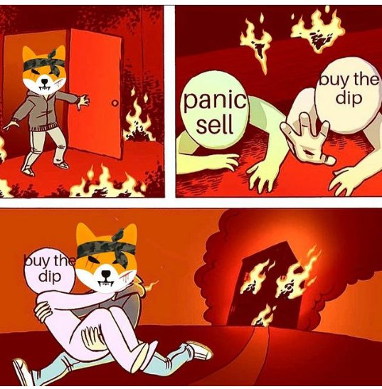ShibaInuHodler's tweet photo. f*ck panic sellers!💯 https://t.co/YUXxW1LGhs