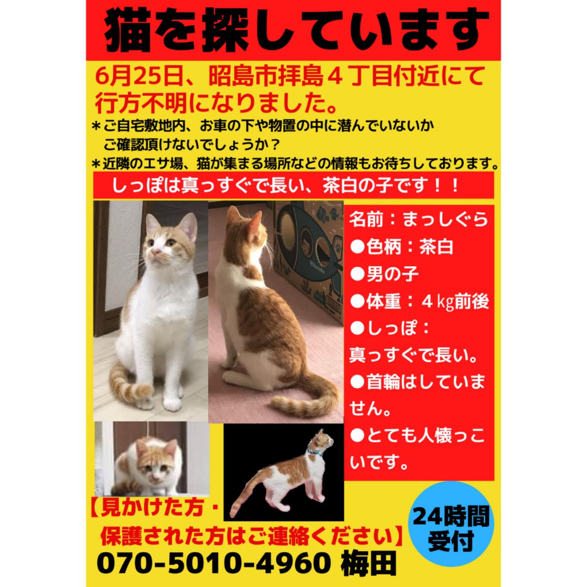 ট ইট র 保護猫カフェねこかつ 川越 大宮日進 迷い猫 情報提供のお願い 東京都昭島市 です 去勢済 間もなく3ヶ月 引き続き情報お待ちしております ご協力ありがとうございます T Co Scw1thqq5d アメブロ Ameba Official