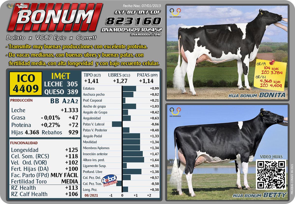 ImportExportBAS's tweet photo. BONUM 823160 (DNKM05609302452)
(Balisto x VG87 Epic x Garrett)

ICO 4409 (08/21)
HIJAS-4368

>BB A2A2
>Buenas producciones (+1.333 KG)
>Buenos solidos(+47 Kg - Gra) (+72 Kg - Pro)
>Buen tipo(+1,4) ,Buenas ubres(+1,27) ,Buenas patas(+1,14)
>Alta longevidad (+125) https://t.co/DoNnntkPD7