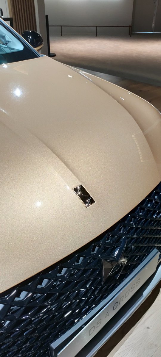DS_Espana's tweet photo. El #DS4 ha sido el protagonista principal en la #DSWeek que ha tenido lugar en Chantilly.
El savoir-faire francés y el diseño único le hace ser un modelo especial.
#DSAutomobiles https://t.co/0Ot7Bg9Eht