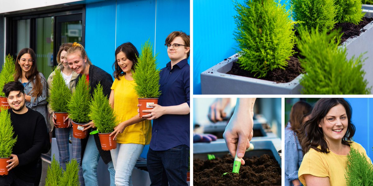 We've been getting our hands dirty today planting some (on-brand) greenery to brighten up our building #creativeagency #designerswhoplant #groundforce #titchmarshinthemaking