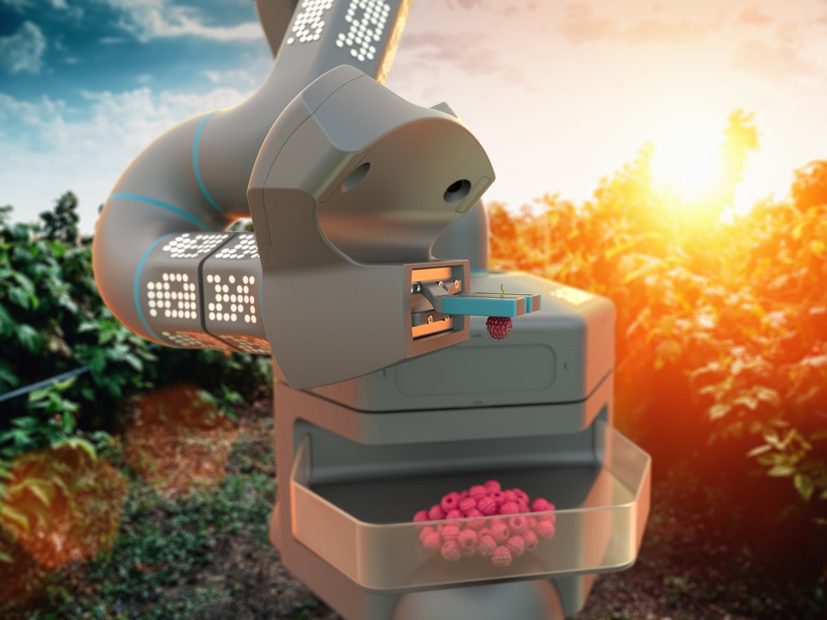 ViseviRobotics's tweet photo. Are you looking for a #master/#bachelor #thesis in #robotics, #AI or #ComputerVision? Do you like to build your own intelligent plant-picking robot? Have a look at our postings at https://t.co/Eb3dlxnksl! https://t.co/7TpNc5OLxn