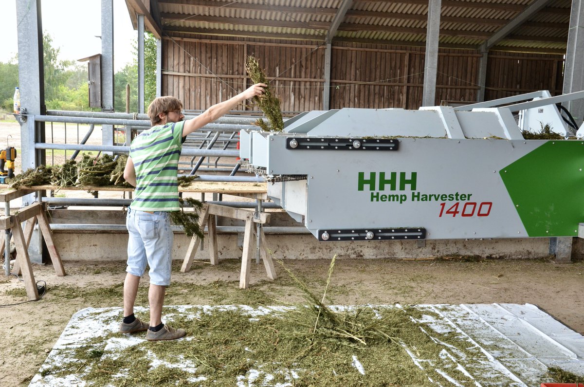 WSchaekel's tweet photo. Hanfernter im Einsatz. Die Blüten werden vom Stängel getrennt.
#Hanfernte #Hanfernter #HempHarvester https://t.co/QCNj8vseUf
