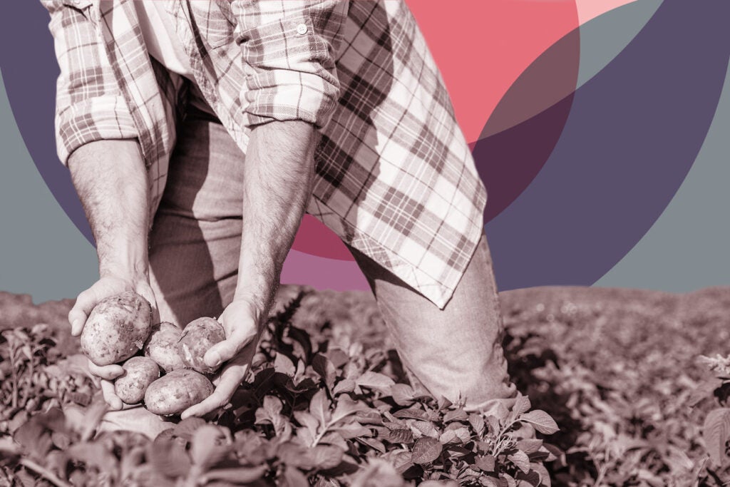 DanielNorero's tweet photo. Is it ok to eat GMO foods? Scientists say ‘yes.’ 🥔🌽🧬| Human health-wise, they’re perfectly fine.
https://t.co/q0cgW1sCY4 Via @PopSci / @AgBioWorld @prometheusgreen @ScienceAlly @kevinfolta https://t.co/SZblF9aA6F
